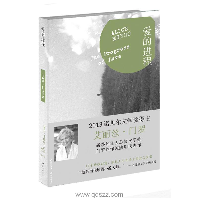 爱的进程-艾丽丝·门罗 azw3,epub Kindle电子书下载