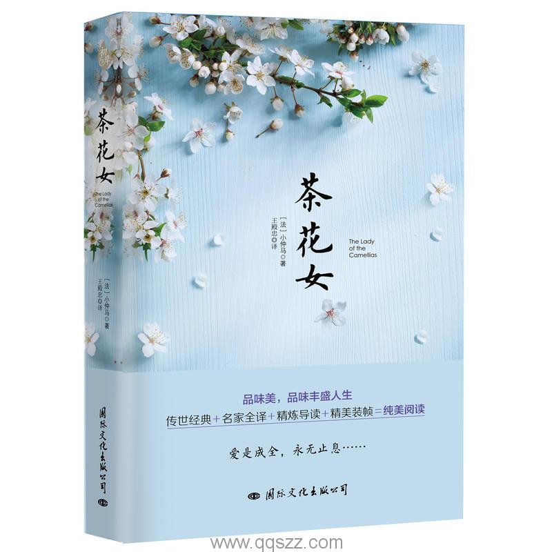 茶花女-小仲马 azw3,epub Kindle电子书下载