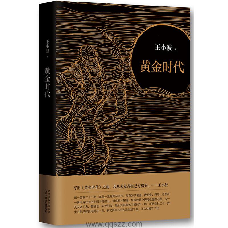 王小波全集第6卷：黄金时代 azw3,epub Kindle电子书下载-千秋书在