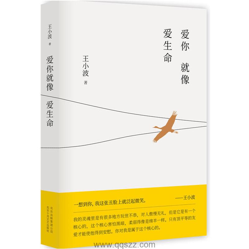 王小波全集第9卷：爱你就像爱生命 azw3,epub Kindle电子书下载-千秋书在