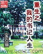 重生之我的书记人生（校对版全本+后记）作者：宝石猫