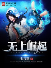 无上崛起（校对版全本）作者：宝石猫