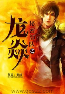 秘密部队之龙焱 epub,mobi,txt,精校版电子书下载,Kindle