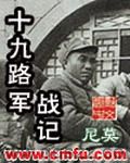 十九路军战记 epub,mobi,txt,精校版电子书下载,Kindle