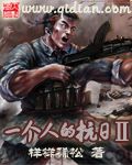 一个人的抗日Ⅱ epub,mobi,txt,精校版电子书下载,Kindle