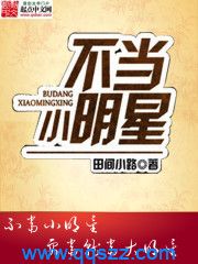 不当小明星 epub,mobi,txt,精校版电子书下载