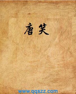 唐笑 epub,mobi,txt,精校版电子书下载,Kindle