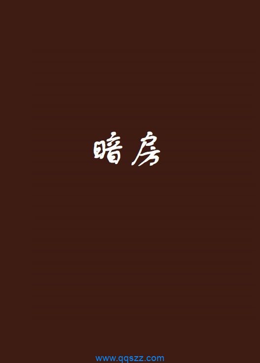 暗房 epub,mobi,txt,精校版电子书下载,Kindle